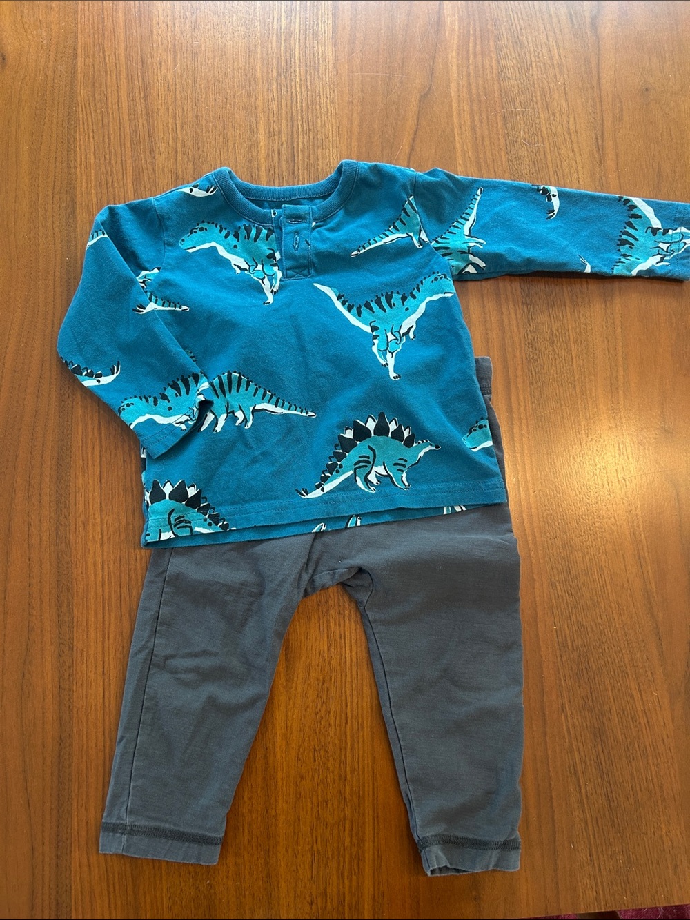 Teal Dinosaur Print Top & Gray Pants Set